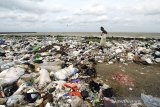 Pemulung mencari sampah plastik di tempat pembuangan sampah yang berada di tepi pantai desa Lombang, Juntinyuat, Indramayu, Jawa Barat, Kamis (28/1/2021). Kementerian Koordinasi Bidang Kemaritiman dan Investasi menyatakan sebanyak 521.540 ton sampah telah mencemari laut Indonesia pada tahun 2020. ANTARA JABAR/Dedhez Anggara/agr