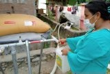 Mercy Corps  bantu pemenuhan air bersih penyintas gempa Sulbar