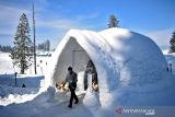 Igloo dan DANA hadirkan produk asuransi risiko keracunan makanan