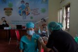 Vaksinator menyuntikkan vaksin COVID-19 Sinovac pada tenaga kesehatan saat vaksinasi tahap pertama dosis kedua di RSUD Wangaya, Denpasar, Bali, Jumat (29/1/2021). Vaksinasi COVID-19 Sinovac bagi tenaga kesehatan di Denpasar yang ditargetkan selesai pada bulan Maret 2021 itu baru diikuti sekitar 5.000 orang dari 12.295 tenaga kesehatan yang sudah terdaftar. ANTARA FOTO/Nyoman Hendra Wibowo/nym.