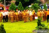 Data tenaga honorer Papua diserahkan ke Menpan RB
