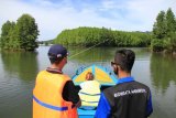 Sejumlah wisatawan berkunjung ke kawasan ekowisata mangrove Desa Gampong Baro Sayeung, Kecamatan Setia Bakti, Aceh Jaya, Aceh, Sabtu (30/1/2021). Kawasan ekowisata mangrove yang juga berfungsi sebagai kawasan konservasi seluas 300 hektare tersebut merupakan salah satu destinasi wisata andalan setempat yang ramai dikunjungi wisatawan lokal maupun mancanegara. ANTARA FOTO/Syifa Yulinnas/wsj.