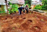 Polsek Jayapura Utara beri bantuan bibit sayur ketahanan pangan