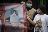 Aksi protes kasus penyembelihan kucing
