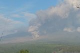 Gunung Semeru di Lumajang kembali luncurkan awan panas guguran