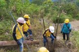 PLN berhasil pulihkan 100 persen jaringan kelistrikan di Sulawesi Barat