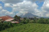 Sinabung luncurkan awan panas guguran sejauh 2.500 meter