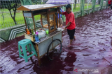 Pedagang bakso berjalan di jalan perkampungan yang tergenang banjir berwarna merah di Jenggot, Pekalongan, Jawa Tengah, Sabtu (6/2/2021). Menurut warga setempat, air banjir berwarna merah itu disebabkan oleh pencemaran limbah pewarna batik berwarna merah karena di lokasi tersebut terdapat ratusan pelaku usaha batik. ANTARA FOTO/Harviyan Perdana Putra/foc.