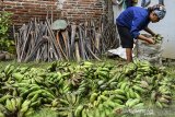 Perajin memilah pisang untuk dijadikan makanan sale di Desa Cintajaya, Kabupaten Ciamis, Jawa Barat, Senin (7/2/2021). Kementerian Keuangan mengalokasikan anggaran untuk program pemulihan ekonomi nasional (PEN) 2021 sebesar Rp627,9 triliun, dimana sebesar Rp157,57 triliun ditujukan untuk mendukung UMKM dan koperasi. ANTARA JABAR/Adeng Bustomi/agr