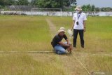 Pekerja mengukur luas lapangan  Stadion R Soenarto Hadiwidjojo di Pamekasan, Jawa Timur, Sabtu (6/2/2021). Stadion yang diperuntukkan sebagai pusat latihan MU dan pembinaan Madura United Football Academy (MUFA) dengan standar Asian Football Confederation (AFC) itu, ditargetkan selesai pada bulan Juli mendatang. Antara Jatim/Saiful Bahri/zk.