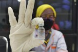 15.640 vaksin Sinovac tahap dua tiba di Sulsel