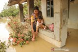 Warga bercengkrama dengan anaknya di depan rumahnya yang masih tergenang banjir di Dusun Prayungan, Desa Gondangmanis, Kecamatan Bandar Kedungmulyo, Kabupaten Jombang, Jawa Timur, Sabtu (6/2/2021). Banjir yang disebabkan sejumlah titik tanggul sungai avur di Bandar Kedungmulyo jebol kini semakin meluas merendam 6  desa di wilayah tersebut. Antara Jatim/Syaiful Arif/zk.