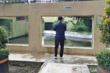Ternyata pandemi berdampak pada penambahan koleksi satwa di TSTJ