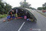 Pengungsi korban banjir mendirikan tenda darurat di jalan raya Pantura desa Jumbleng, Losarang, Indramayu, Jawa Barat, Selasa (9/2/2021). Badan Penanggulangan Bencana Daerah (BPBD) Kab. Indramayu mengatakan jumlah pengungsi korban banjir Indramayu mencapai 15 ribu jiwa. ANTARA JABAR/Dedhez Anggara/agr
