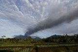 Semburan abu vulkanik Gunung Raung terlihat di Sempol, Songgon, Banyuwangi, Jawa Timur, Selasa (9/2/2021). Berdasarkan pantauan Pos Pengamatan Gunung Api Raung, telah terjadi semburan abu vulkanik intensitas tebal dengan tinggi hingga 2.500 meter di atas puncak kawah mengarah ke timur. ANTARA FOTO/Budi Candra Setya/nym.