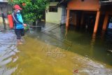 Penyemprotan Eco Enzyme Di Permukiman Banjir