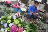 Perajin menyiapkan bunga potong untuk dibuat buket atau karangan bunga dengan kombinasi boneka di sebuah gerai bunga potong di Malang, Jawa Timur, Jumat (12/2/2021). Perajin buket setempat mengaku permintaan pesanan karangan bunga yang biasa dihadiahkan saat hari kasih sayang atau Valentine Day tersebut menurun dari 50 paket menjadi 25 paket atau turun 50 persen per minggu dibandingkan tahun sebelumnya sering Pemberlakuan Pembatasan Kegiatan Masyarakat (PPKM) Mikro.  Antara Jatim/Ari Bowo Sucipto/zk