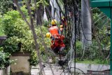 Petugas memperbaiki kabel jaringan listrik di Alun Alun Sidoarjo, Jawa Timur, Jumat (12/2/2021). Perbaikan jaringan tersebut dilakukan guna mengantisipasi gangguan pasokan listrik ke masyarakat . Antara Jatim/Umarul Faruq/zk