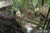 Objek wisata rumah Pohon Donggala