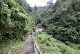 Pemandangan alam menuju air terjun telunjuk raung di Songgon, Banyuwangi, Jawa Timur, Minggu (14/2/2021). Wisata air terjun yang terletak di kaki gunung raung itu menjadi salah satu destinasi wisata alam yang menawarkan keindahan alam yang masih asri. Antara Jatim/Budi Candra Setya/zk.