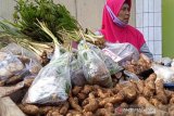 Efikasi rempah di medan pandemi