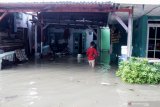 Seorang anak melintas di rumahnya yang terendam banjir di kawasan Sidokare, Sidoarjo, Jawa Timur, Selasa (16/2/2021). Sejumlah wilayah di Kabupaten Sidoarjo, Jawa Timur terendam banjir dengan ketinggian yang bervariasi menyusul tingginya intensitas hujan yang terjadi di wilayah setempat sejak Senin (15/2). Antara Jatim/Umarul Faruq/zk