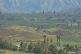 Lahan pertanian sayur di Desa Kalianyar, Ijen, Bondowoso, Jawa Timur, Kamis (18/2/2021). Lahan perbukitan di kawasan tersebut beralih fungsi ditanami kentang dan sayur-sayuran. Antara Jatim/Seno/zk.
