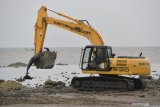 Petugas  menggunakan alat berat memindahkan bangkai Paus Pilot Sirip Pendek (Globicephala macrorhynchus) yang mati saat terdampar untuk  dikubur di Pantai Modung, Bangkalan, Jawa Timur, Sabtu (20/2/2021). Sebanyak 51 ekor dari 52 ekor Paus Pilot Sirip Pendek yang mati  dikubur agar tidak menimbulkan bau dan penyebaran bakteri yang dapat membahayakan masyarakat sekitar. Antara Jatim/Zabur Karuru/zk