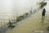 Warga berjalan melintasi banjir di Desa Karangligar, Karawang, Jawa Barat, Selasa (23/2/2021). Badan Nasional Penanggulangan Bencana (BNPB) mencatat warga terdampak banjir di Kabupaten Karawang mencapai 28.329 jiwa dan mengakibatkan 8.539 unit rumah terendam banjir yang disebabkan meluapnya sungai Citarum, Cibeet, Cikereteg, Cikalapa dan Cilamaya serta Cikaranggelam. ANTARA JABAR/M Ibnu Chazar/agr