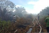 BPBD: Kebakaran hutan empat daerah di Sumbar akibat cuaca panas