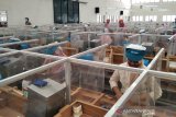 Masa pandemi, pabrik rokok di Keresidenan Pati bertambah