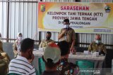 Kelompok tani ternak di Pekalongan didorong kembangkan produk olahan