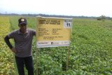 Akademisi sebut petani bisa mulai siapkan benih kedelai saat pancaroba
