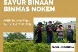 Personel Binmas Noken Polri berhasil tingkatkan kesejahteraan petani Papua