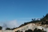 Pemkab intensifkan pengembangan Dataran Tinggi Dieng