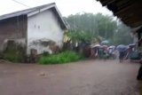 Banjir terjang ratusan rumah di Jember