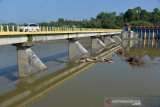 Petani menggembalakan ternaknya di lokasi Irigasi Krueng Aceh, Desa Seunebok, Kecamatan Seulimeum Kabupaten Aceh Besar, Selasa (2/3/2021). Petugas penjaga pintu irigasi di daerah itu, menyatakan Irigasi Krueng Aceh yang berfungsi memenuhi kebutuhan air sawah selama musim kemarau debit air menurun  hingga 70 sentimeter dari kondisi normal 80 sentimeter. ANTARA FOTO/Ampelsa