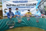 BBPBAP Jepara panen perdana ikan lele dengan budi  daya sistem bioflok