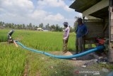 Petani mendistribusikan air sungai ke lahan sawah di desa Keumere, Kecamatan Kuta Cut Glie, Kabupaten Aceh Besar, Aceh, Selasa (2/3/2021). Untuk mengatasi ancaman kekeringan dan gagal panen tanaman padi, kelompok tani di daerah itu  mendistribusikan air sungai ke lahan sawah menggunakan  pipa sepanjang satu kilometer. ANTARA FOTO/Ampelsa.