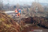 Luas Karhutla di Nagan Raya Aceh sudah mencapai 17,5 hektare