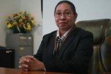 BPS: Papua alami penurunan produksi padi sebesar 29,46 persen