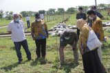 Kementan komitmen dukung pembangunan kebun buah di Itera