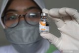 LIPI ungkap modifikasi vaksin untuk antisipasi varian dari Afsel dan Brazil