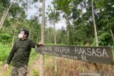 Berjuang melestarikan dan melawan kepunahan anggrek Meratus