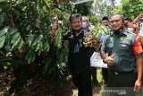 Menteri Pertanian dorong pengembangan  agrowisata buah