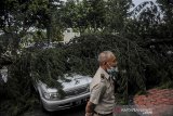 Pekerja mengamati pohon tumbang yang menimpa kendaraan di Kantor ATR/BPN Kanwil Jawa Barat di Jalan Soekarno-Hatta, Bandung, Jawa Barat, Senin (8/3/2021). Pohon tumbang yang menimpa sejumlah kendaraan dan menghancurkan bagian depan atap gedung tersebut diakibatkan oleh angin kencang dan hujan deras yang melanda Bandung Raya pada Senin (8/3) siang hingga sore hari. ANTARA JABAR/Raisan Al Farisi/agr