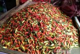 Harga cabai di Kota Makassar tembus Rp75 ribu per kilogram