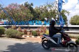 Dua direktur perusahaan daerah di Kudus dipecat