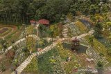 Foto udara suasana Taman Kincir Jabal Nur di Desa Sukasetia, Kecamatan Cisayong, Kabupaten Tasikmalaya, Jawa Barat, Selasa (9/3/2021). Wisata taman kincir warna-warni yang berada di kaki Gunung Talaga Bodas tersebut memiliki 15.000 kincir angin yang menjadi spot foto favorit untuk wisatawan saat libur akhir pekan dan juga memiliki wahana lainnya seperti kolam renang, penginapan serta camping ground. ANTARA JABAR/Adeng Bustomi/agr
