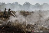 Prajurit TNI menyemprotkan air untuk memadamkan kebakaran lahan gambut di Desa Rimbo Panjang, Kabupaten Kampar, Riau, Selasa (9/3/2021). Satgas Karhutla Riau terus berupaya melakukan pemadaman kebakaran lahan yang masih terjadi di Provinsi Riau agar 